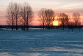001_Biebrza - marzec 2013